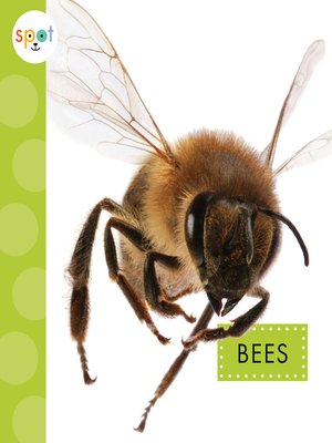 cover image of Bees